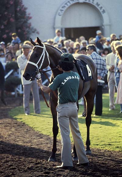 Landaluce and her groom in the paddock at Del Mar prior to the Debutante, September 5, 1982. Credit: Keeneland Library - Barrett collection Landaluce and her groom in the paddock at Del Mar prior to the Debutante, September 5, 1982. Credit: Keeneland Library - Barrett collection
